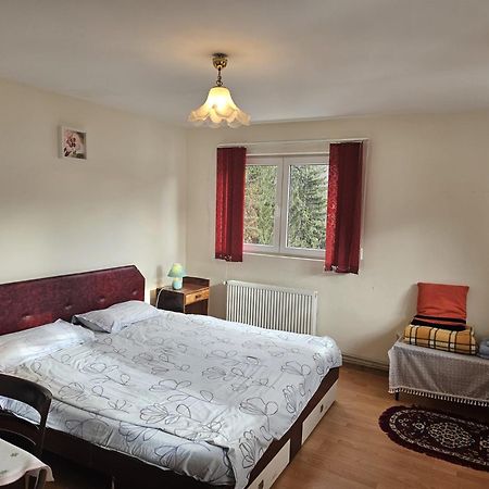 Apartament Retro-Relax ซินายา ภายนอก รูปภาพ