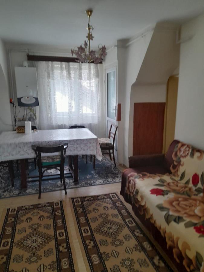 Apartament Retro-Relax ซินายา ภายนอก รูปภาพ